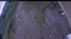 Web Cam Image - Mon, 06/08/2026 4:29am PDT