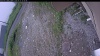 Web Cam Image - Sat, 06/27/2026 8:59am PDT