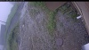 Web Cam Image - Thu, 07/02/2026 3:39pm PDT
