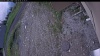 Web Cam Image - Thu, 06/04/2026 10:44am PDT