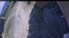 Web Cam Image - Thu, 05/21/2026 12:49pm PDT