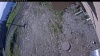 Web Cam Image - Tue, 06/02/2026 8:09am PDT