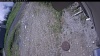 Web Cam Image - Thu, 06/04/2026 10:39am PDT