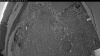 Web Cam Image - Mon, 06/08/2026 4:19am PDT