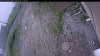 Web Cam Image - Sun, 06/28/2026 10:04am PDT