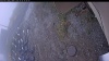 Web Cam Image - Mon, 10/20/2025 10:44am PDT