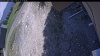 Web Cam Image - Thu, 05/21/2026 12:44pm PDT