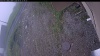 Web Cam Image - Fri, 06/05/2026 11:29am PDT