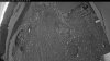 Web Cam Image - Mon, 06/08/2026 4:14am PDT