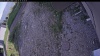 Web Cam Image - Thu, 06/18/2026 6:19pm PDT