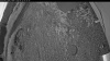 Web Cam Image - Tue, 06/23/2026 3:29am PDT