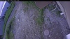 Web Cam Image - Thu, 07/02/2026 4:19am PDT