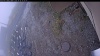 Web Cam Image - Mon, 10/20/2025 10:39am PDT