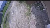 Web Cam Image - Mon, 06/15/2026 11:54am PDT