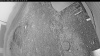 Web Cam Image - Wed, 06/17/2026 3:19am PDT