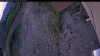 Web Cam Image - Tue, 06/23/2026 3:24am PDT