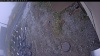 Web Cam Image - Mon, 10/20/2025 10:34am PDT