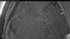 Web Cam Image - Mon, 06/08/2026 4:04am PDT