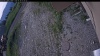 Web Cam Image - Wed, 06/24/2026 5:09am PDT