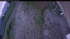 Web Cam Image - Thu, 07/02/2026 4:09am PDT