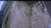 Web Cam Image - Tue, 07/07/2026 10:15am PDT