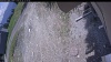 Web Cam Image - Wed, 05/20/2026 12:04pm PDT