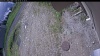 Web Cam Image - Thu, 06/04/2026 10:19am PDT