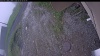 Web Cam Image - Tue, 06/09/2026 7:24am PDT