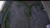 Web Cam Image - Fri, 06/19/2026 7:29pm PDT