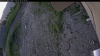 Web Cam Image - Mon, 06/22/2026 2:49am PDT