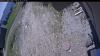 Web Cam Image - Sun, 05/31/2026 11:19am PDT