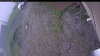 Web Cam Image - Fri, 06/05/2026 11:09am PDT