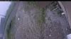 Web Cam Image - Sat, 06/27/2026 8:24am PDT