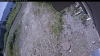 Web Cam Image - Tue, 07/07/2026 10:04am PDT