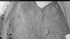 Web Cam Image - Tue, 09/02/2025 9:44am PDT