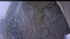 Web Cam Image - Mon, 10/20/2025 10:19am PDT