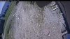 Web Cam Image - Sun, 05/31/2026 11:14am PDT