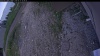 Web Cam Image - Wed, 06/17/2026 3:24pm PDT