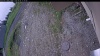 Web Cam Image - Thu, 06/04/2026 10:04am PDT