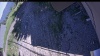 Web Cam Image - Mon, 06/22/2026 2:39pm PDT