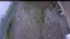 Web Cam Image - Sat, 06/27/2026 8:14am PDT