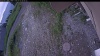 Web Cam Image - Thu, 07/02/2026 3:49am PDT