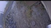 Web Cam Image - Mon, 10/20/2025 10:09am PDT