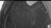 Web Cam Image - Thu, 04/30/2026 4:14am PDT