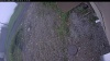 Web Cam Image - Fri, 06/05/2026 10:54am PDT