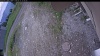 Web Cam Image - Thu, 06/11/2026 12:09pm PDT