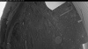 Web Cam Image - Thu, 04/30/2026 4:09am PDT