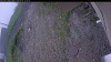 Web Cam Image - Fri, 06/05/2026 10:49am PDT