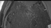 Web Cam Image - Mon, 06/08/2026 3:34am PDT