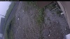 Web Cam Image - Sat, 06/27/2026 8:04am PDT